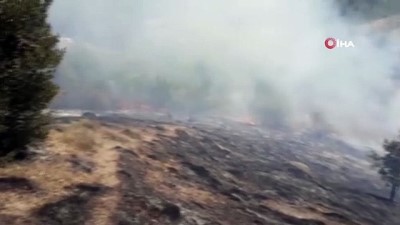 ormana -  Düzce’de 5 dönüm fındıklık yandı Videosu