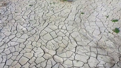 hava sicakligi - Sıcak havanın etkisiyle oluşan kurak topraklar - IĞDIR Videosu