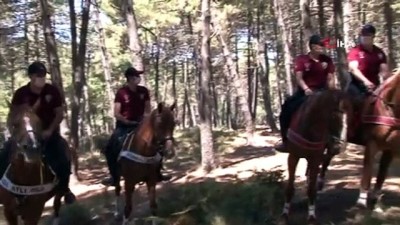 atli polis -  Atlı polislerden Aydos Ormanında mangal denetimi Videosu