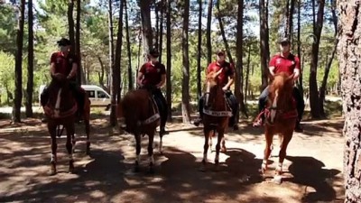 atli polis - Aydos Orman'ında, yangınları önlemeye yönelik denetim yapıldı - İSTANBUL Videosu