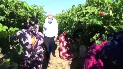 yogun mesai -  Manisa’da mevsimlik işçilere maske desteği Videosu