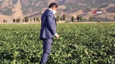 gubre -  Muş Şeker Sanayi A.Ş.’den çiftçiye “C” kota müjdesi Videosu
