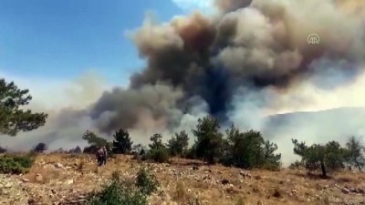 is makinesi - Banaz'daki orman yangınlarına müdahale ediliyor - UŞAK Videosu