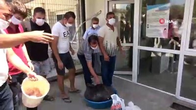 elektrik dagitim sirketi -  Elektrikler kesildi, kurban etleri bozuldu Videosu