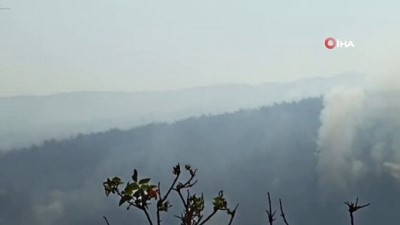 koseli -  Manisa’daki orman yangını kısmen kontrol altında Videosu