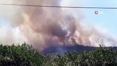 ormanli -  Menderes'teki orman yangını devam ediyor Videosu