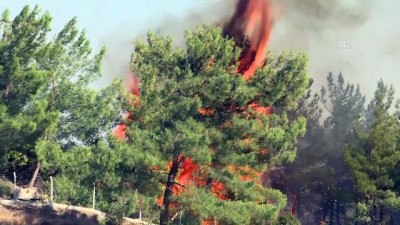 Menderes'teki orman yangınına müdahale ediliyor - İZMİR