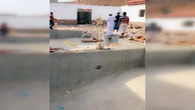  - Suudi Arabistan’da kurbanlık dana çevredekilere saldırdı
