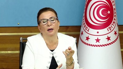 haziran ayi - Bakan Pekcan e-ticaret verilerini açıkladı (2) - ANKARA Videosu