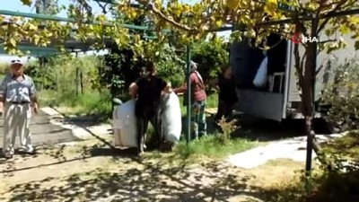 a haber -  Balıkesir’den Almanya'ya stevia ihracı Videosu