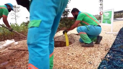 gesi -  Başakşehir’de kavşaklar yeşile büründü Videosu