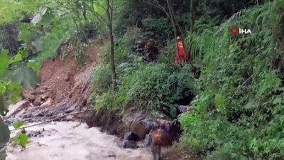 toprak kaymasi -  - Çin’de toprak kayması: 5 ölü, 1 yaralı Videosu