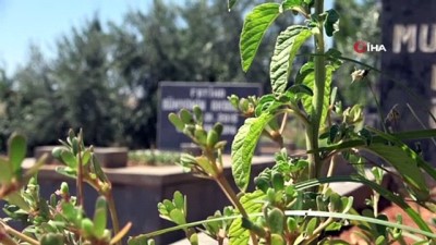 yasam mucadelesi -  En acı ziyaret Videosu