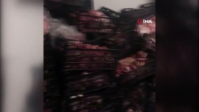 para cezasi -  'Fakirlere dağıtacağız' diye bayramda 41 ton et toplamışlar Videosu