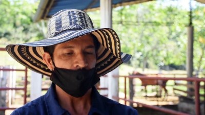 marca - Kolombiya'nın pandemi sürecindeki tarımsal faaliyet mücadelesi - VIANI Videosu