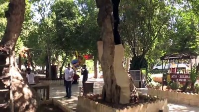 gubre - Tarihe tanıklık eden anıt ağaçlara özel bakım - ŞANLIURFA Videosu