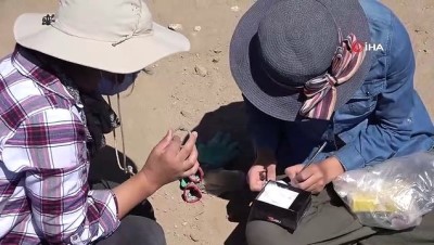 arkeoloji -  Çavuştepe Kalesi kazılarında ejder başlıklı iki bilezik bulundu Videosu