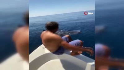 deniz turizmi -  - Suudi balıkçı, balina köpek balığının sırtına bindi Videosu