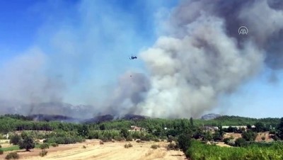 ormanli - Antalya'da orman yangını Videosu