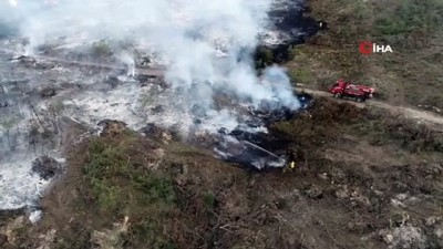 orman yangini -   Bursa’da orman yangını kontrol altına alındı Videosu