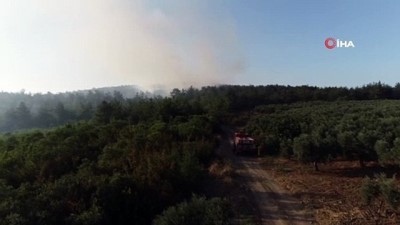  Bursa’da orman yangını