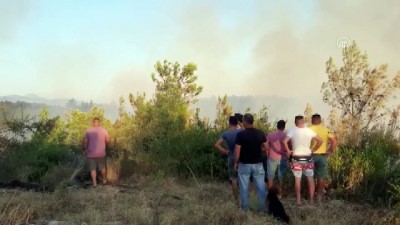 Manavgat'ta orman yangını çıktı (2) - ANTALYA