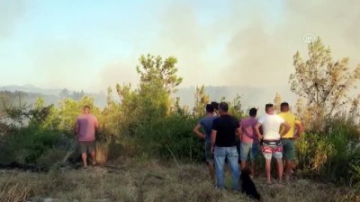 gesi - Manavgat'ta orman yangını çıktı (2) - ANTALYA Videosu