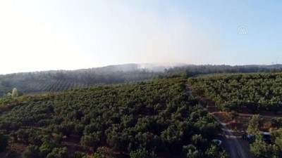Mudanya'da orman yangını (2) - BURSA