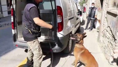 eroin - Narkotik köpeği 'Sezar' ve 'Artos' ile denetim yapıldı - BOLU Videosu