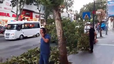trafik guvenligi -  Şiddetli rüzgar aydınlatma lambası ve ağaç dallarını kopardı Videosu