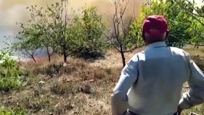 orman yangini - Adana'da orman yangını (4) Videosu