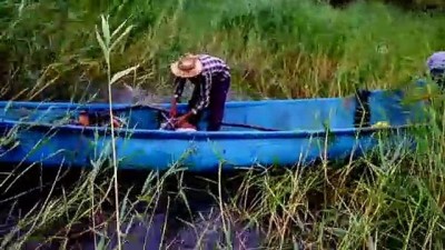 sabah namazi - Beyşehir Gölü'ndeki balıkçıların emek dolu mücadelesi - KONYA Videosu