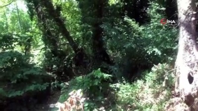 uyusturucu operasyonu -  Bursa'da uyuşturucu operasyonu: 13 gözaltı Videosu