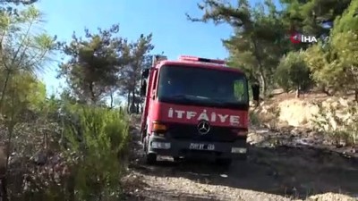 diyalog -  Cesur yürekli iki çocuk, kaplumbağayı yangından kurtardı Videosu