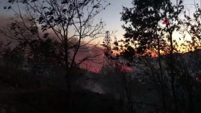  Kozan’daki orman yangını söndürme çalışmaları devam ediyor