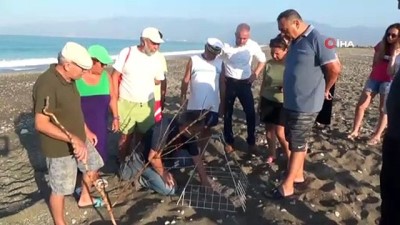 emniyet serdi -  Antalya'da kepçenin caretta caretta yuvalarına verdiği zarara ilk tepki  60 bin lira  ceza yiyen gençten geldi Videosu