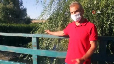 balik avi -  Konya’da göle dökülen akarsuda esrarengiz balık ölümleri tedirgin ediyor Videosu