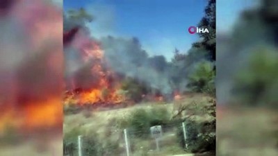 orman yangini -  Serik'te orman yangını Videosu