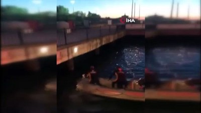hayvan -  Kadıköy’de balıkçı misinasına takılan 2 martı kurtarıldı Videosu