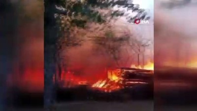ilk mudahale -  Kastamonu’da çıkan yangında 3 ev, 3 samanlık, 5 ahır ve bir ambar yandı Videosu