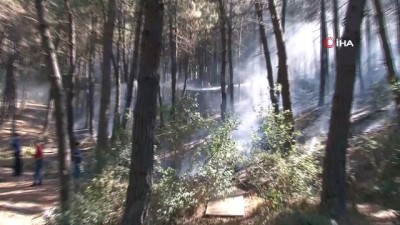  Maltepe'de korkutan orman yangını