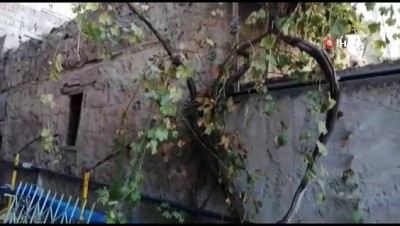  Necip Fazıl Kısakürek’e cezaevinde özel oda oluşturulmuş