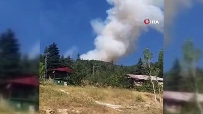 helikopter -  Orman yangınında 2 hektarlık alan zarar gördü Videosu
