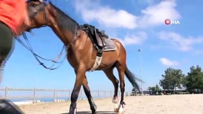 dera -  Samsun Büyükşehir Belediyesi 'Atıl' ve 'Rüzgar' ile yarışacak Videosu