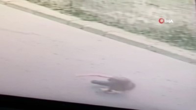 kucuk kiz -  İstanbul’un göbeğinde dehşet görüntü...Sokakta oynayan çocuğu böyle ezdi Videosu