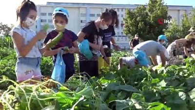 guvenli gida -  Yeni nesil, tarımla tanışıyor Videosu