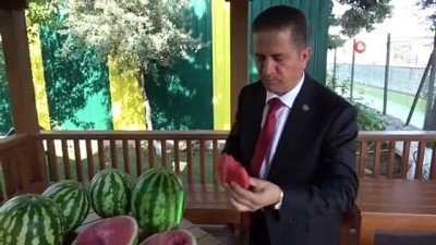 gumruk vergisi -  'Adana karpuzu' coğrafi işaretle tescillendi Videosu