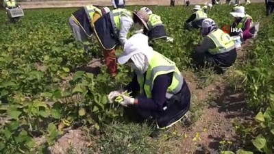 sozlesmeli -  Ankara Büyükşehir Belediye Başkanı Yavaş sulu tarım projesi için çiftçilerle buluştu Videosu
