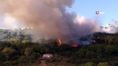  Maltepe'de ormanlık alanda yangın çıktı