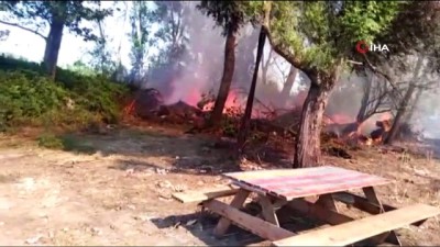 orman yangini -  Yalova'da orman yangını Videosu